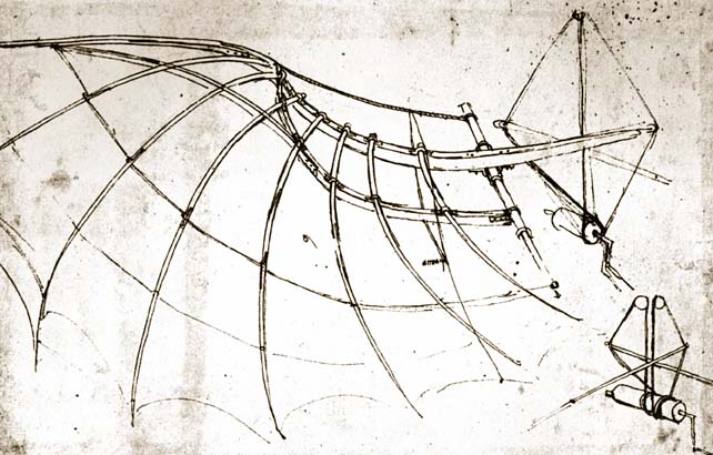 leonardo-da-vinci-bird-wing-with-mechanical-connections6